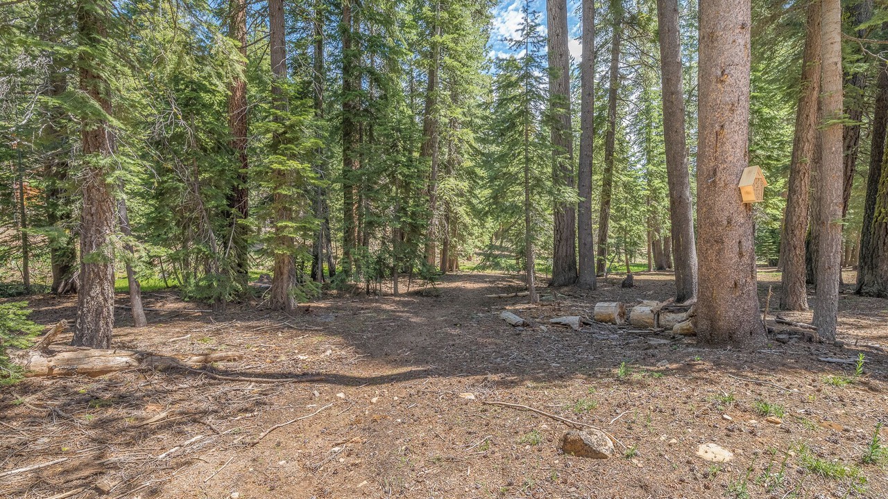Photo of Others in Kingswood Estates