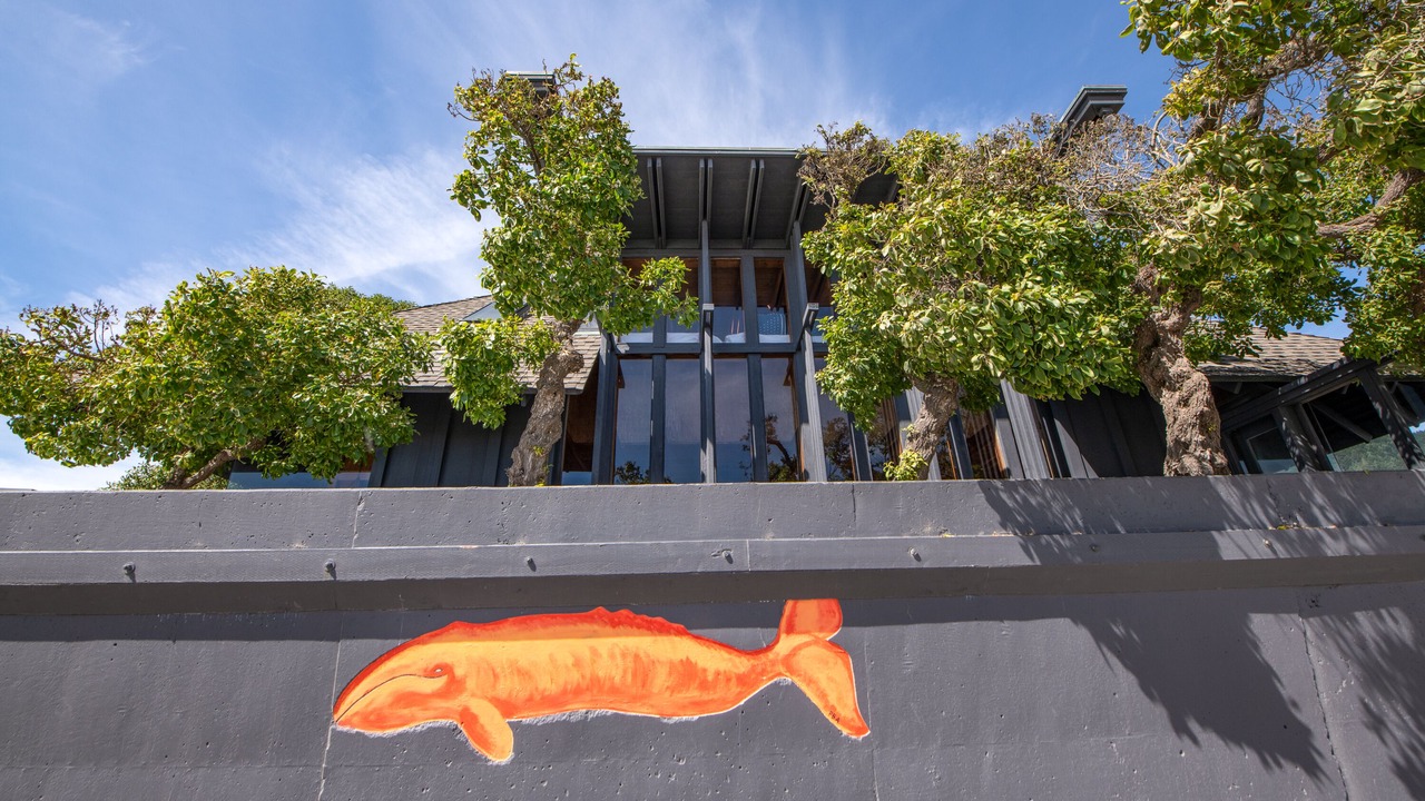 Photo of Outdoor in Stinson Beach