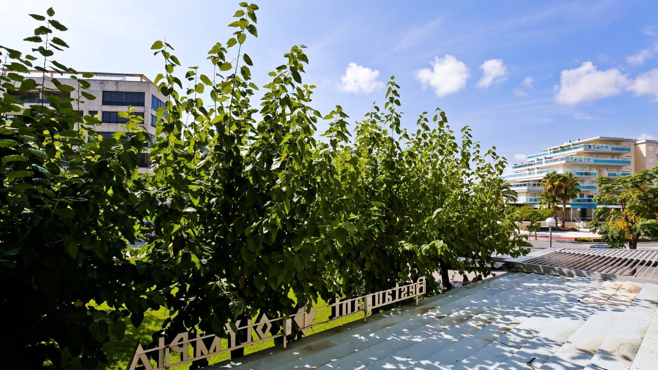 Photo of Outdoor in La Pineda