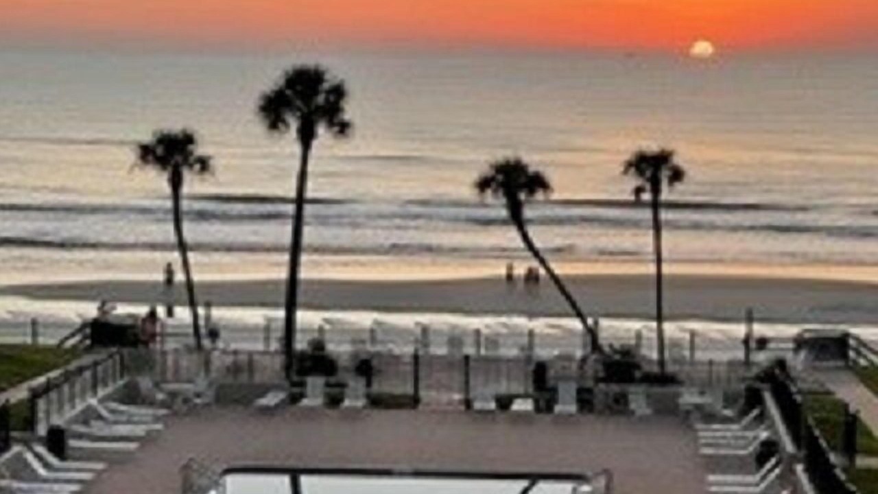 Photo of Others in New Smyrna Beach