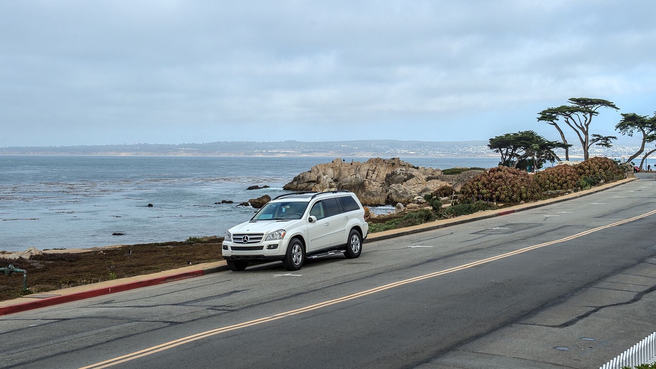 Photo of Others in Pacific Grove