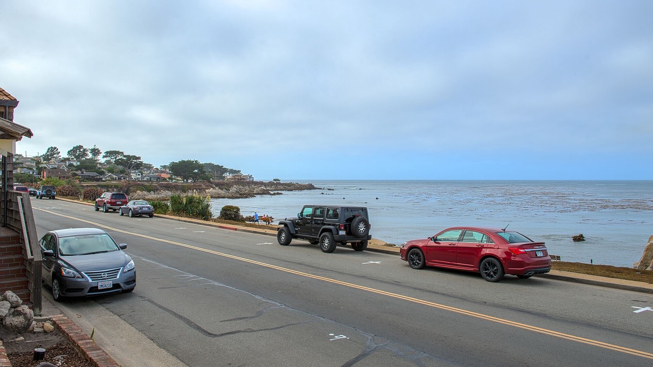 Photo of Others in Pacific Grove
