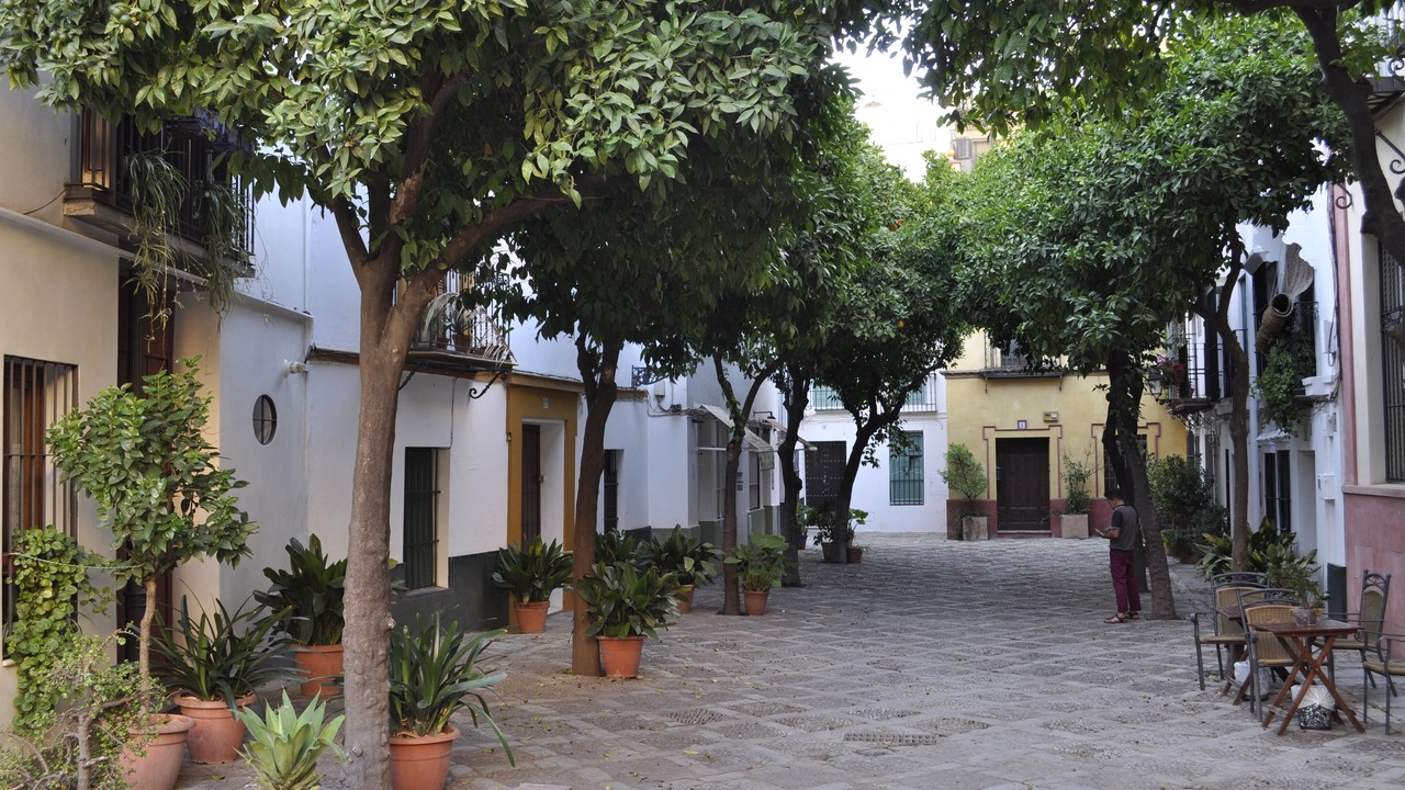 Photo of Outdoor in Historical Center