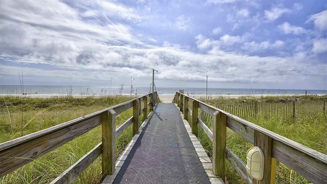 Photo of Others in Orange Beach