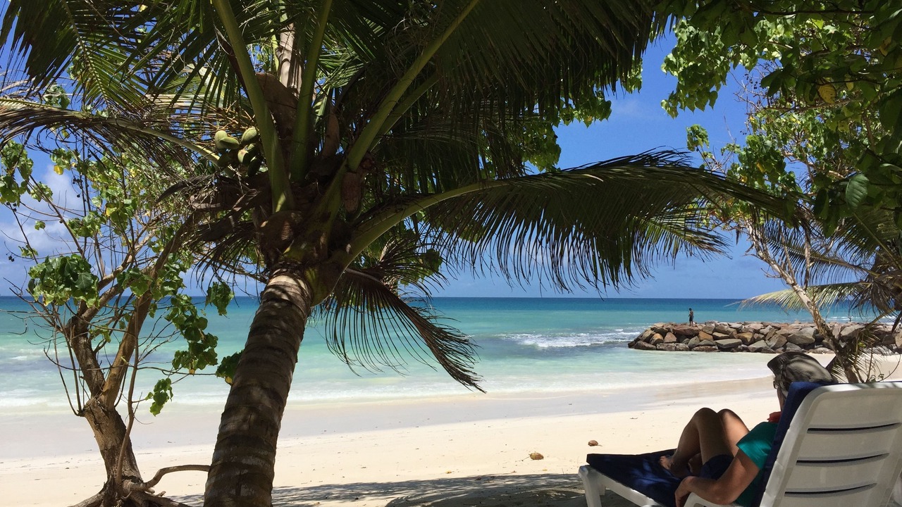 Photo of Others in Anse Kerlan