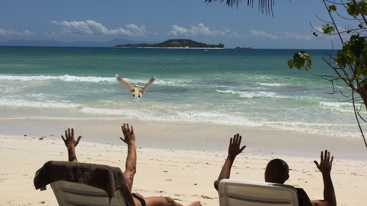 Photo of Others in Anse Kerlan