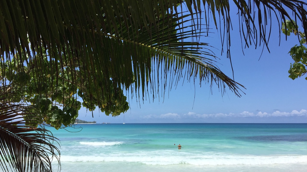 Photo of Others in Anse Kerlan