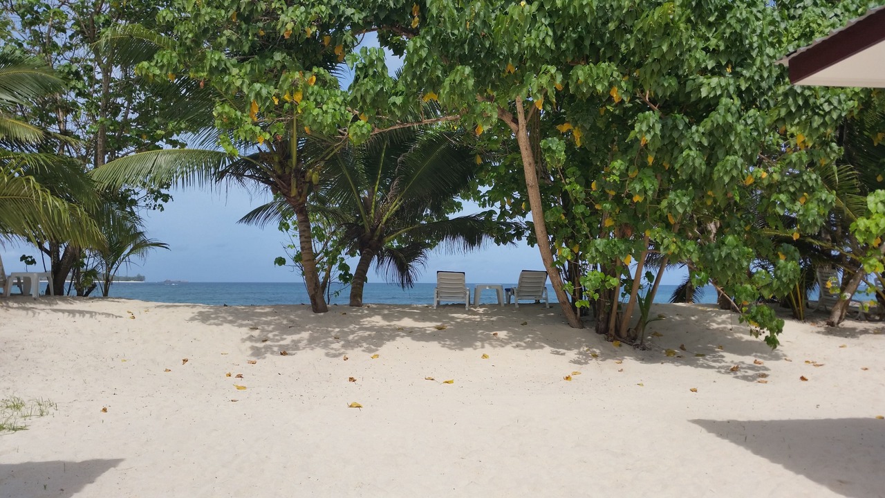 Photo of Others in Anse Kerlan