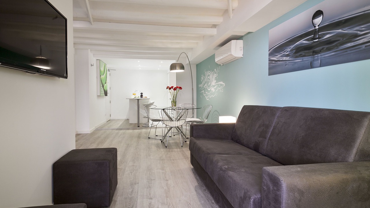 Photo of Livingroom in Hostafrancs