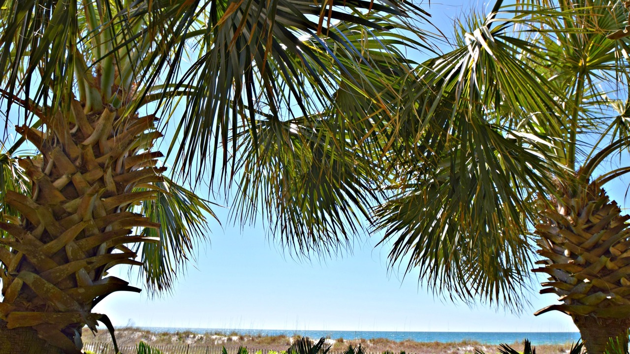 Photo of Outdoor in Orange Beach East