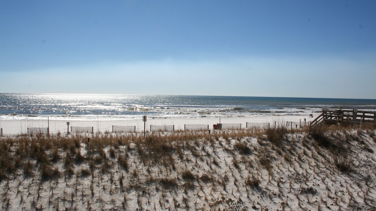 Photo of Others in Fort Walton Beach