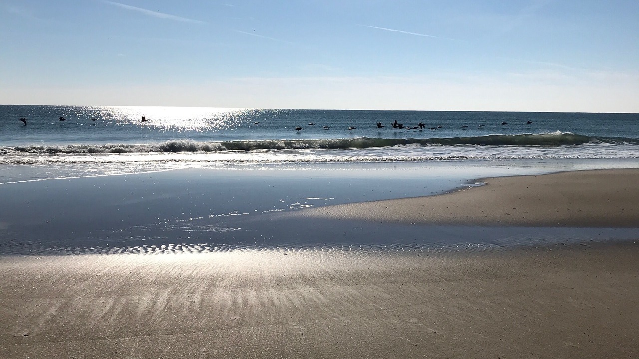 Photo of Others in Ocean City Beach