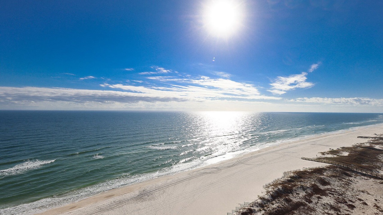 Photo of Others in Orange Beach East