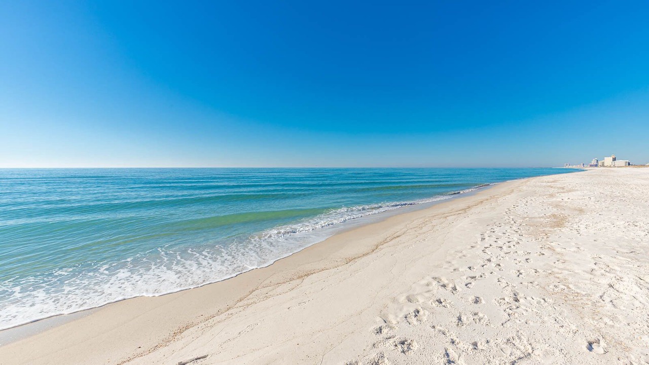 Photo of Others in Orange Beach East