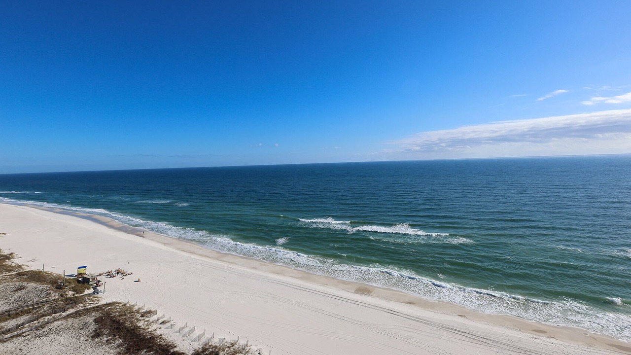 Photo of Others in Orange Beach East