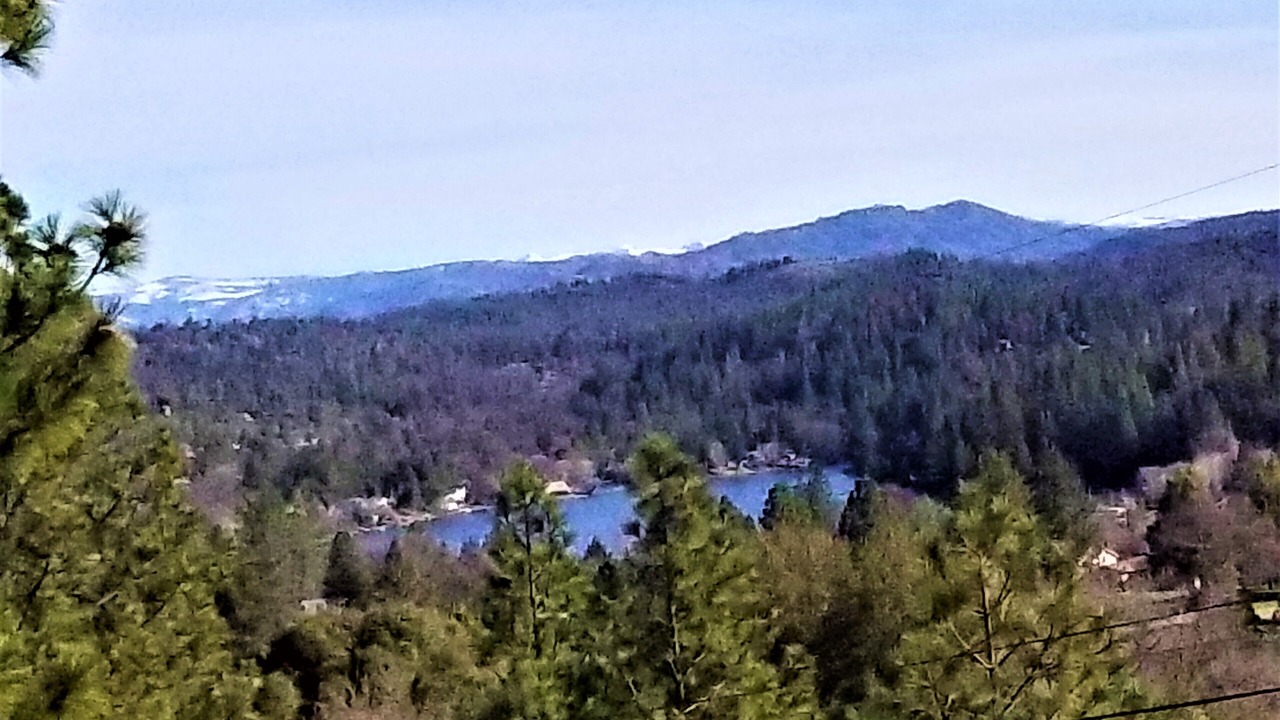 Photo of Others in Groveland