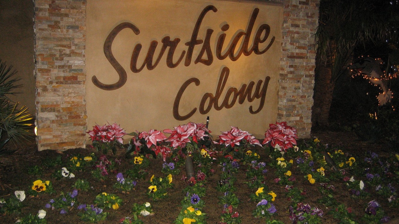 Photo of Others in Surfside