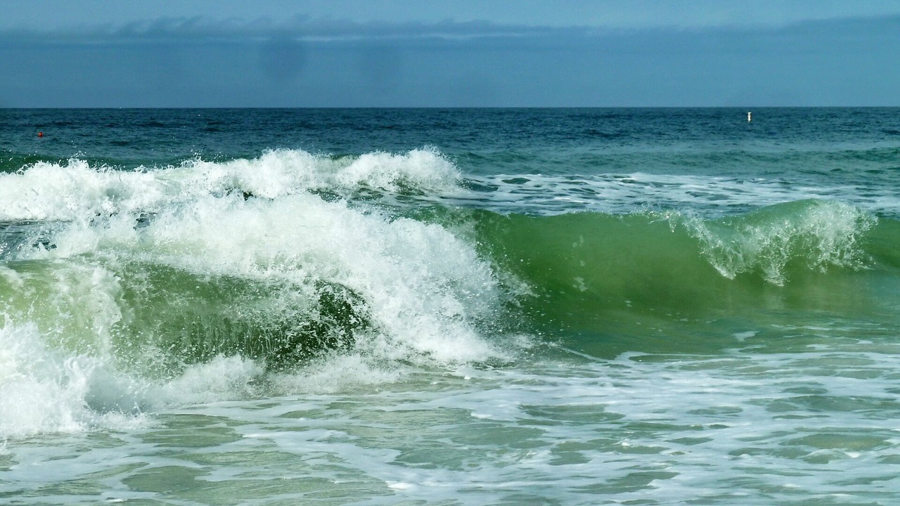 Photo of Outdoor in Sunset Reef