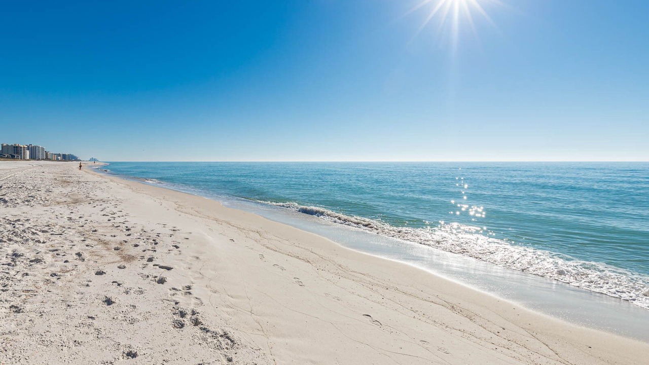 Photo of Others in Orange Beach East