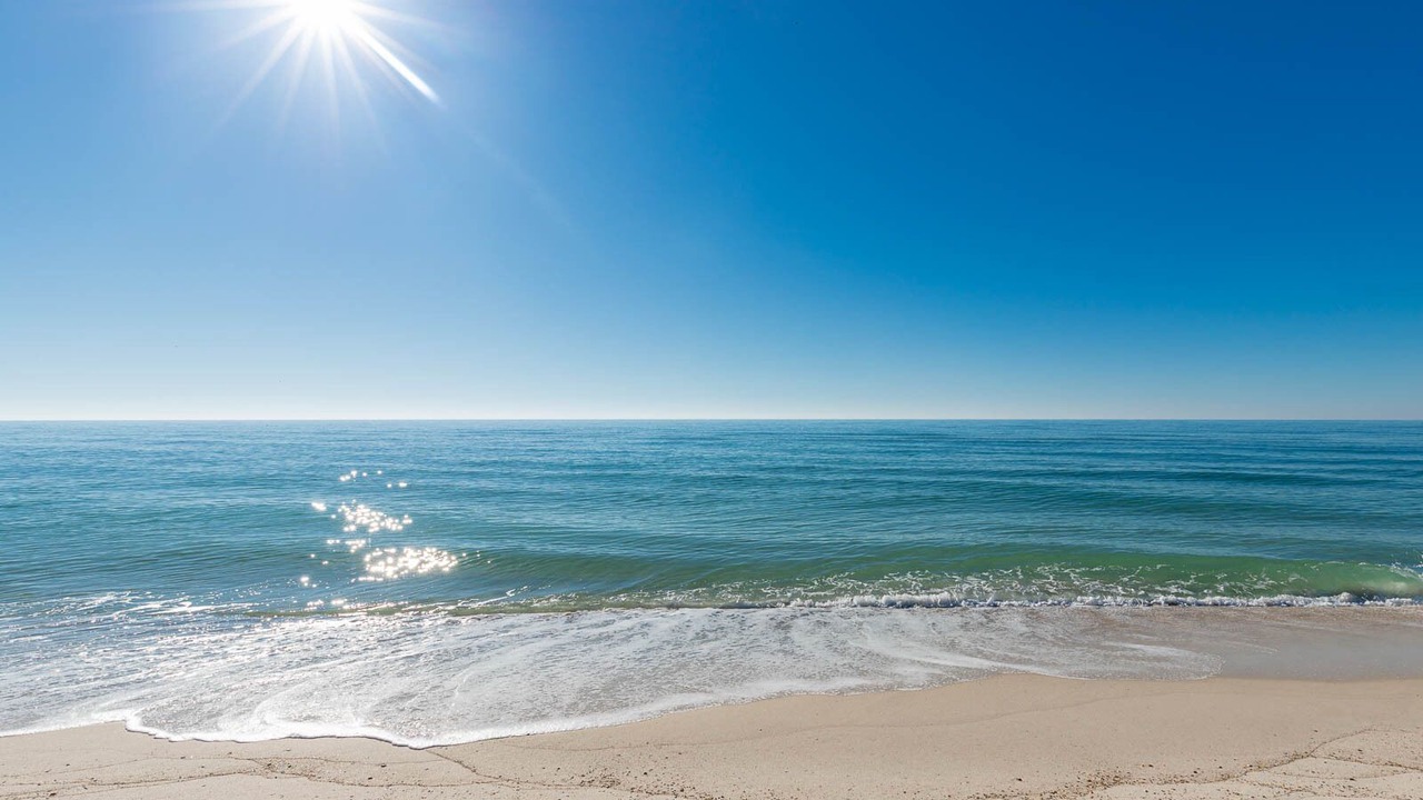 Photo of Others in Orange Beach East