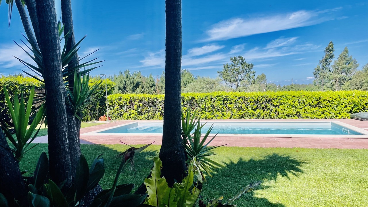 Photo of Outdoor in Paco