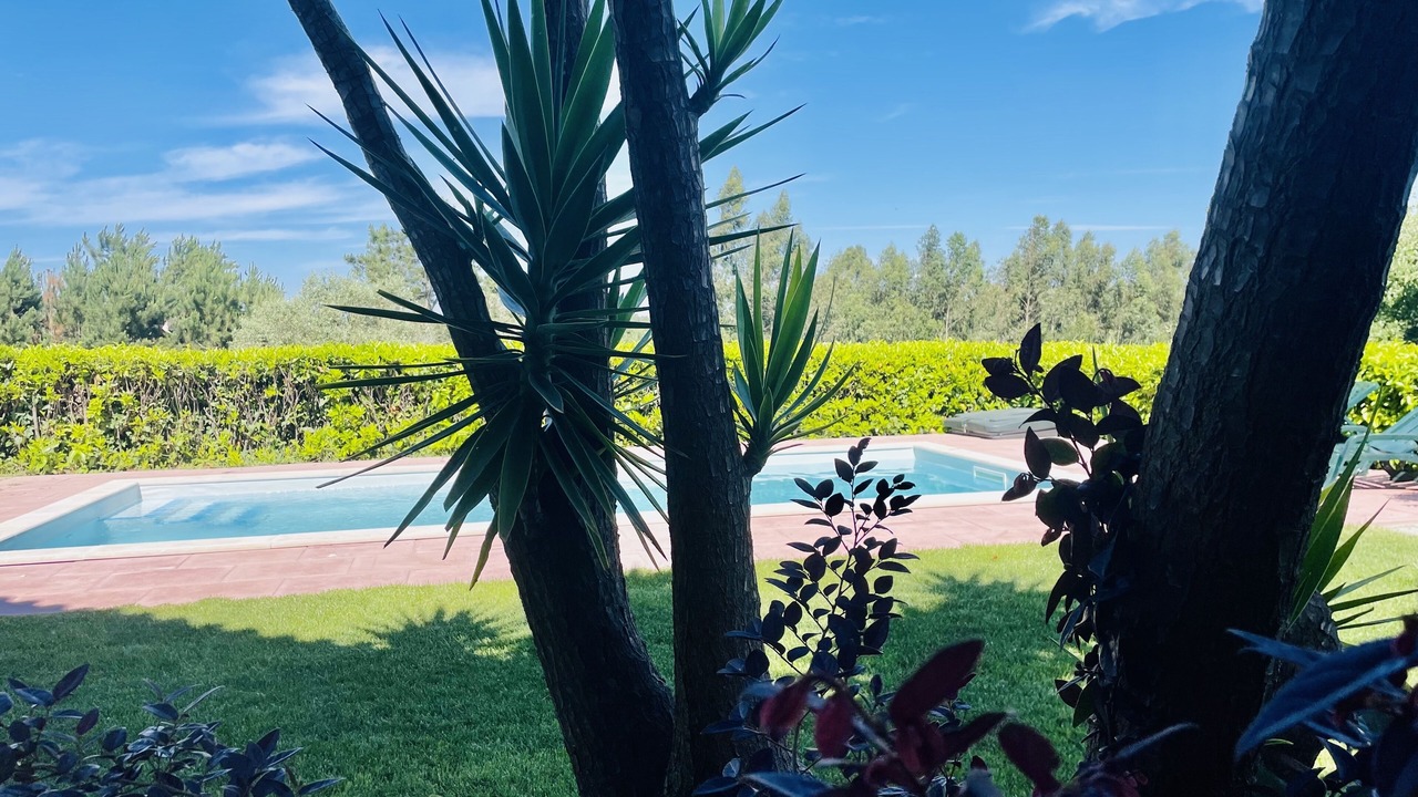 Photo of Outdoor in Paco