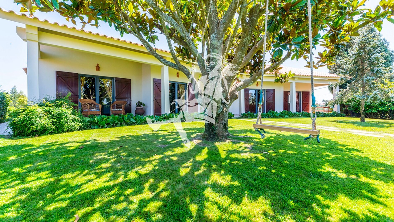 Photo of Outdoor in Paco