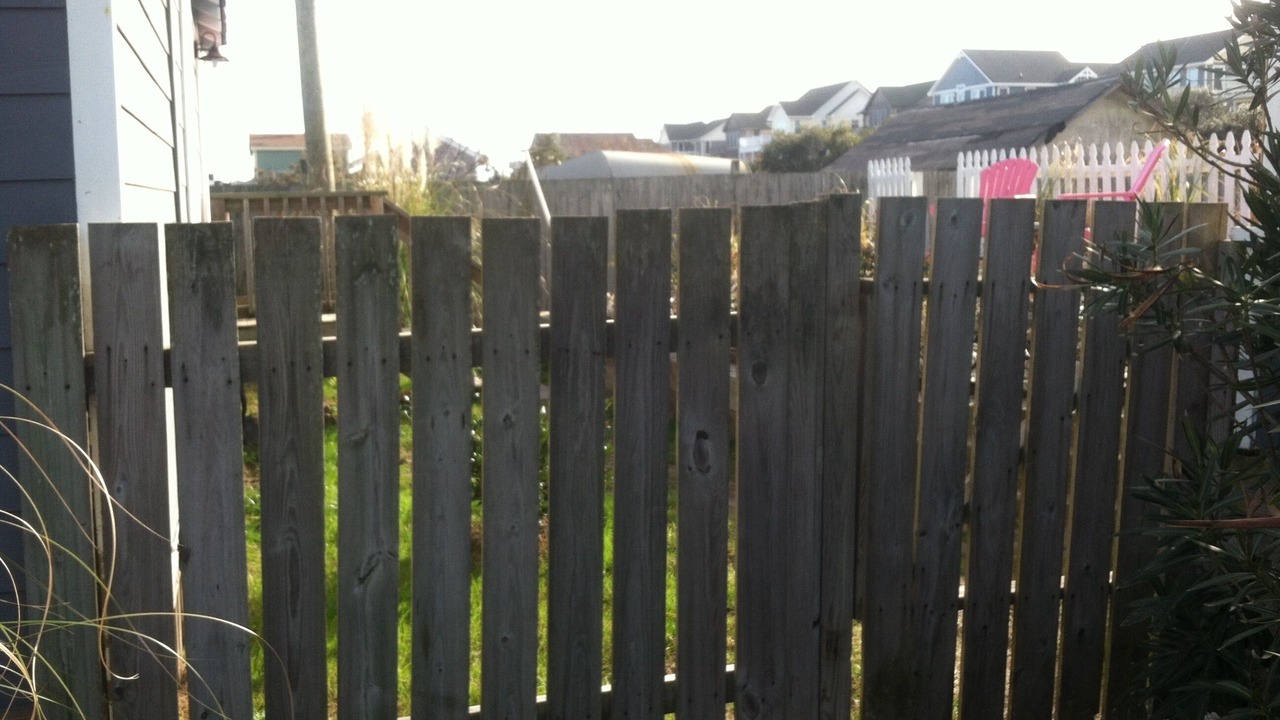Photo of Others in Nags Head