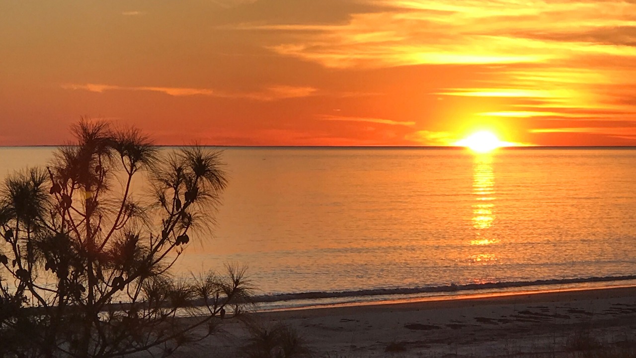 Photo of Outdoor in Alligator Point