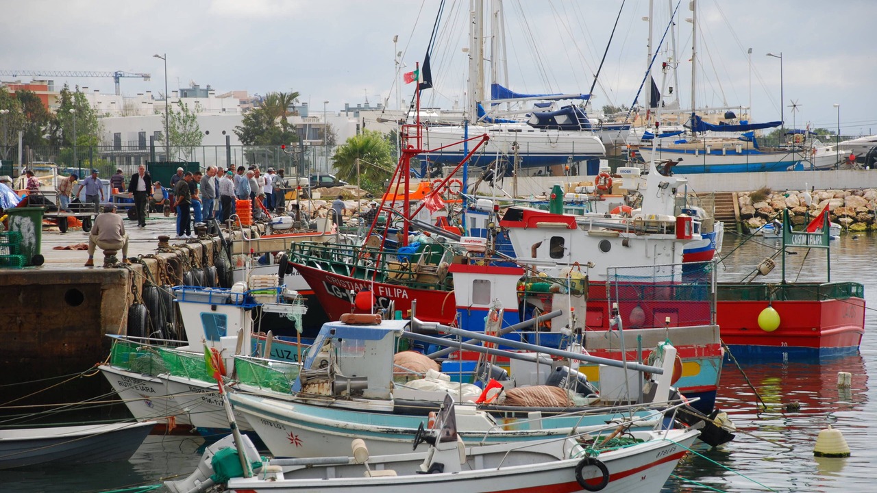 Photo of Outdoor in Albardeira