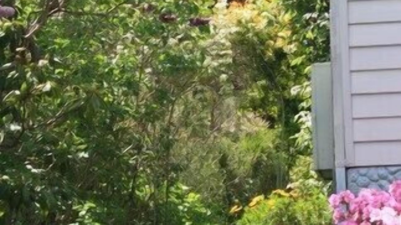 Photo of Outdoor in Katoomba