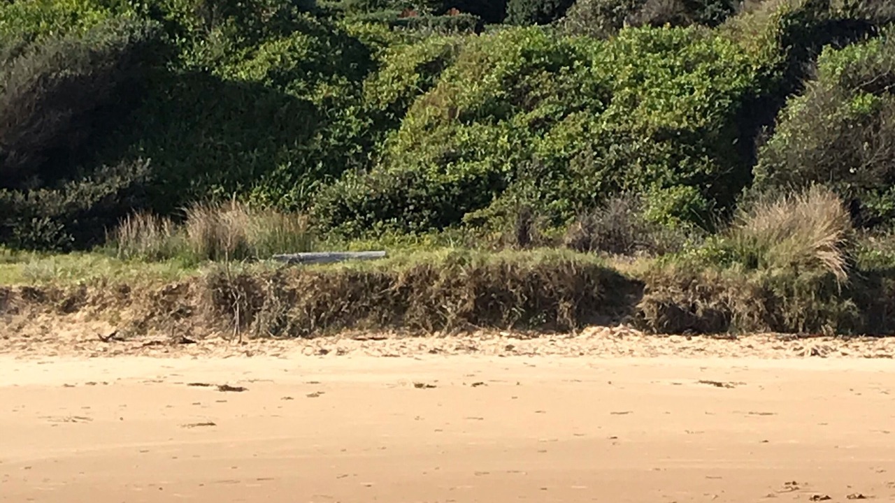 Photo of Others in Culburra Beach