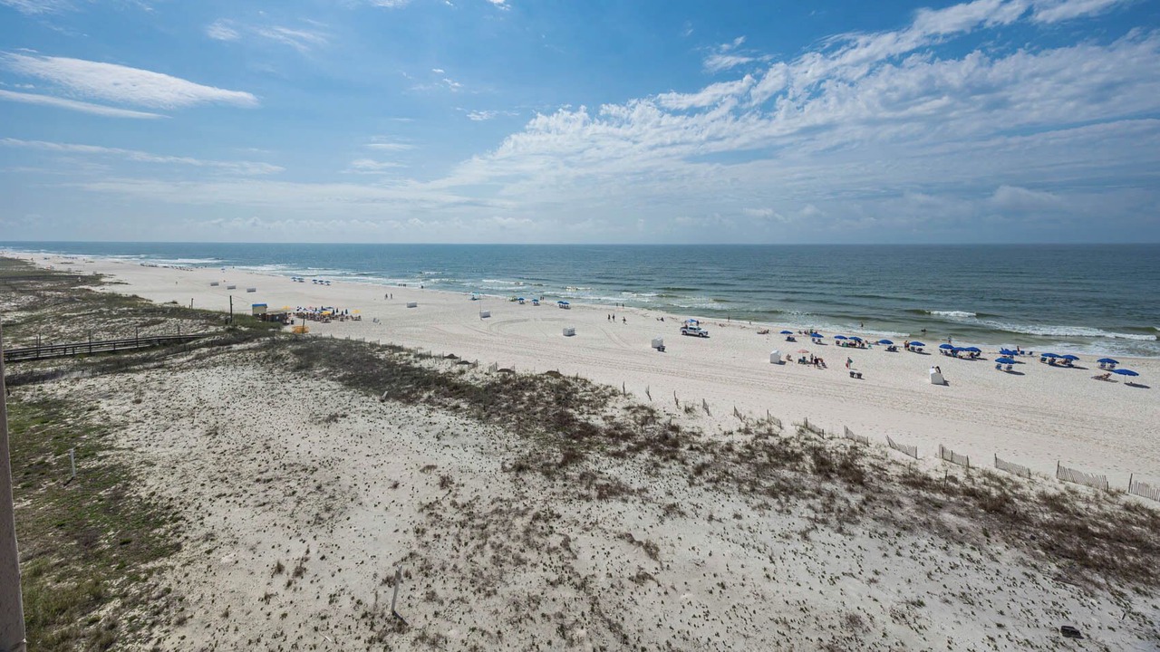 Photo of Others in Orange Beach East