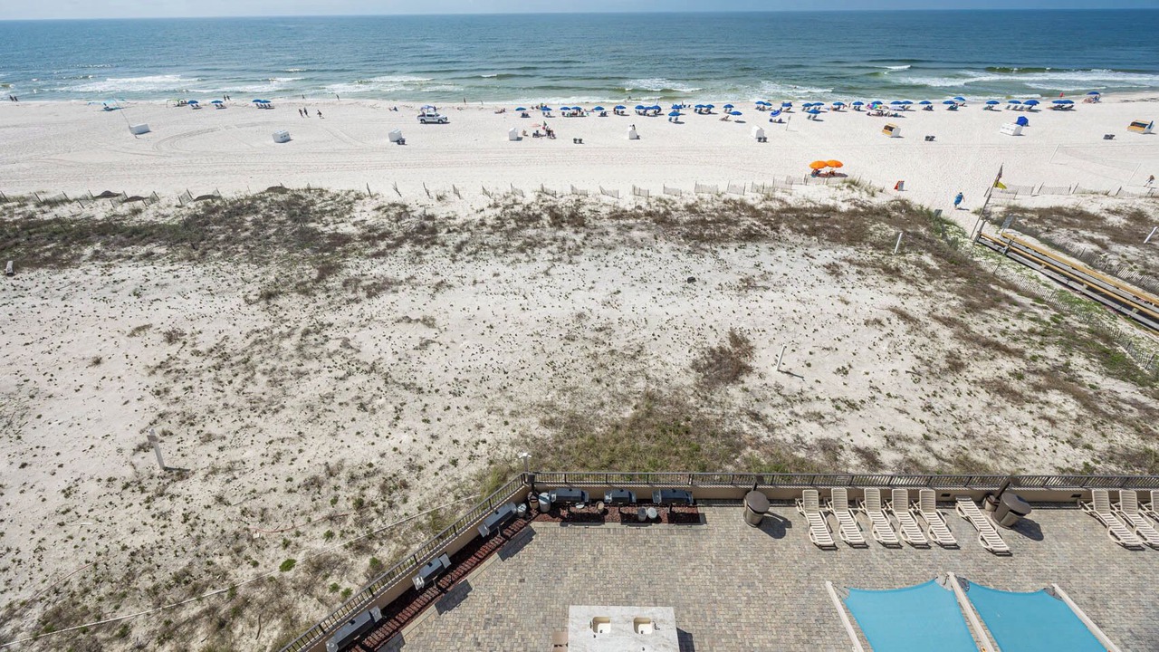 Photo of Others in Orange Beach East