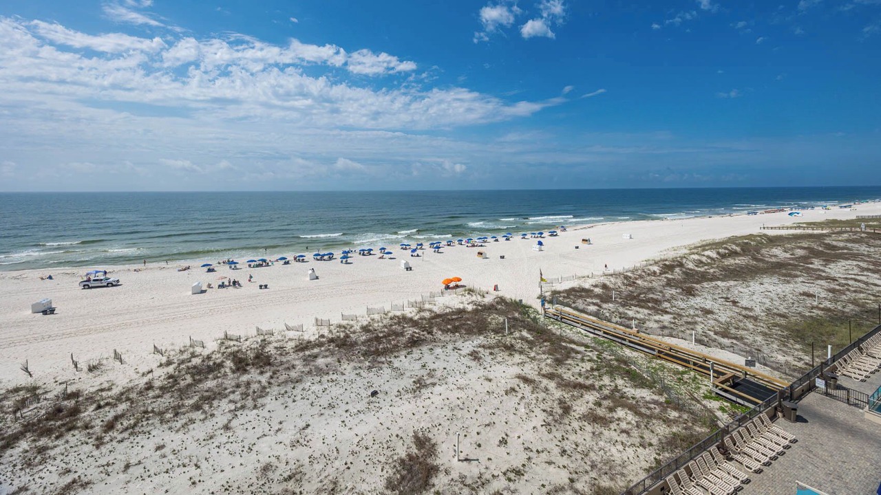 Photo of Others in Orange Beach East