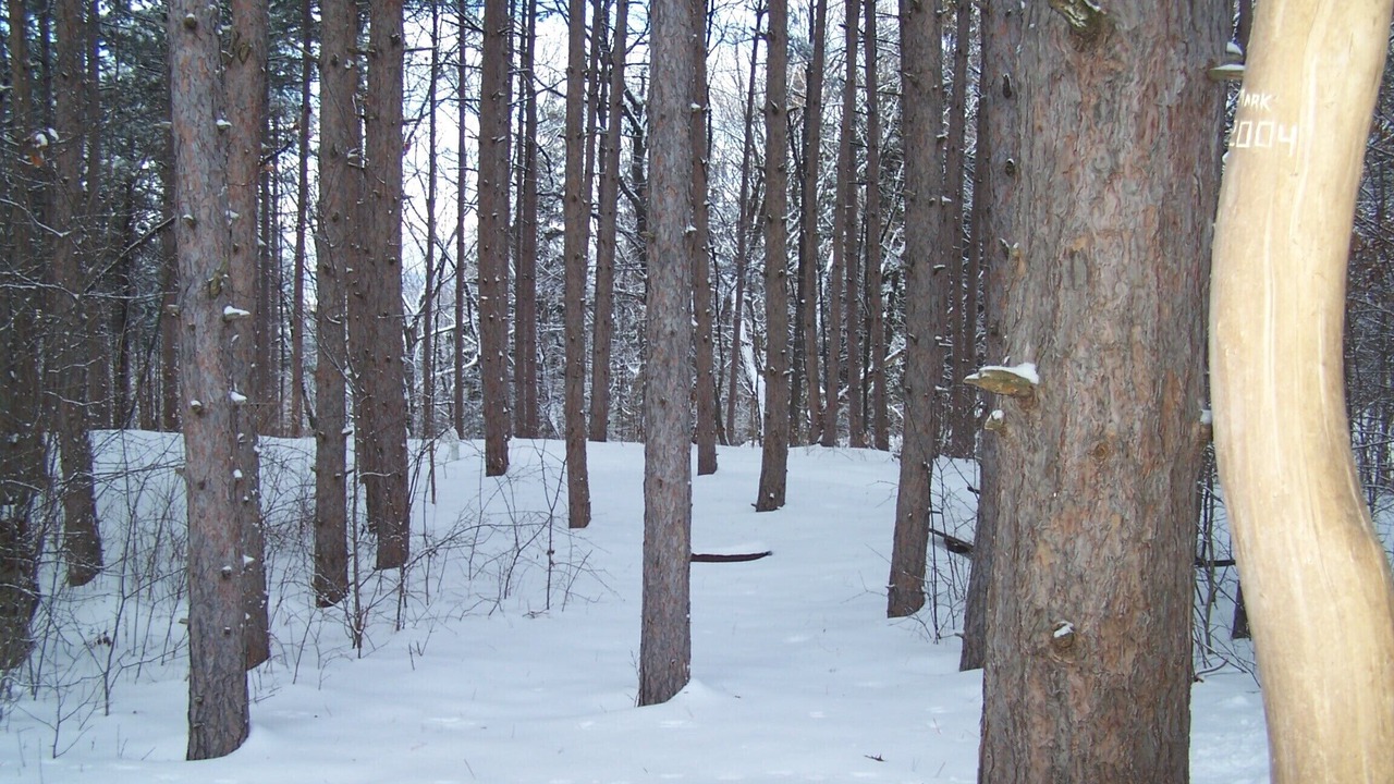 Photo of Others in Keuka Park