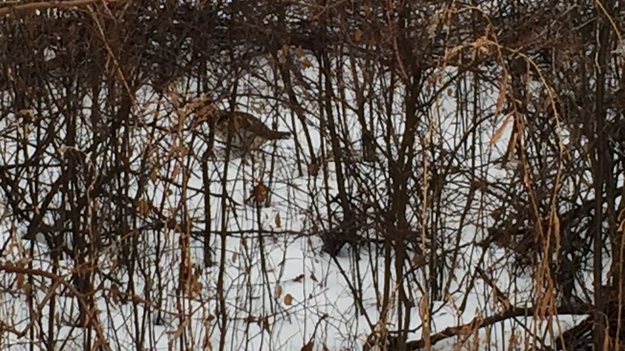 Photo of Others in Keuka Park
