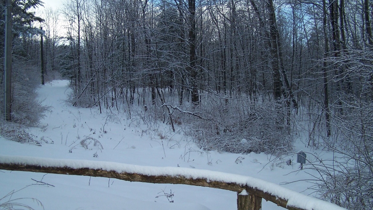 Photo of Outdoor in Keuka Park