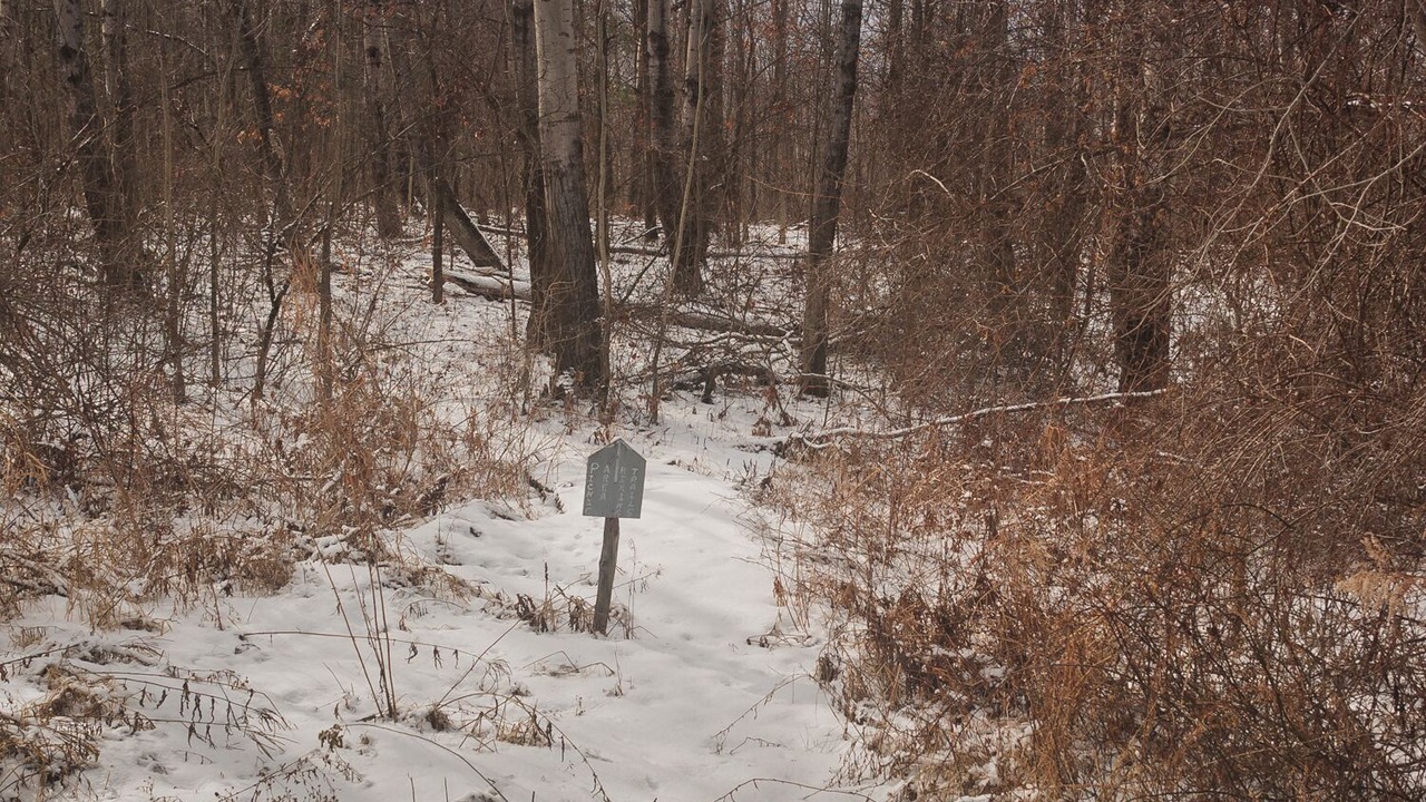 Photo of Others in Keuka Park