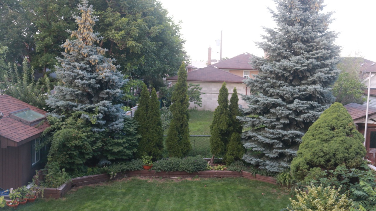 Photo of Outdoor in Humber Summit