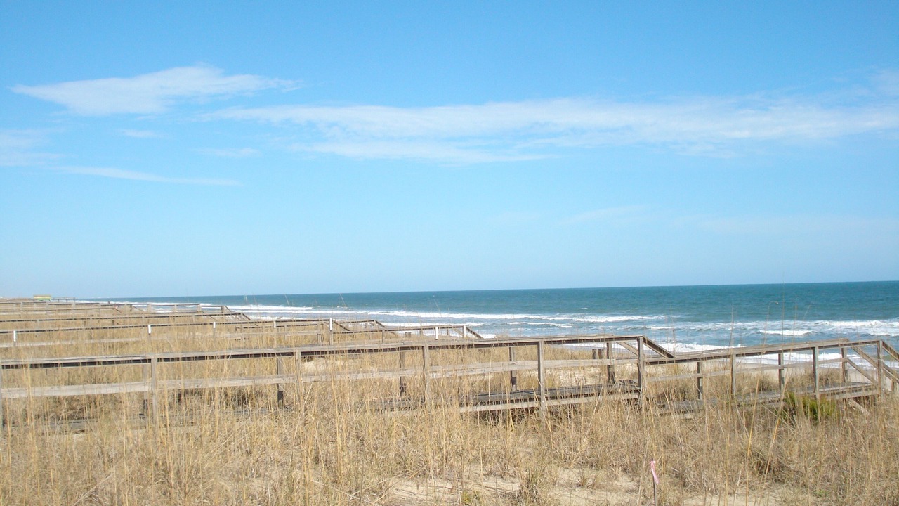 Photo of Others in Wilmington Beach