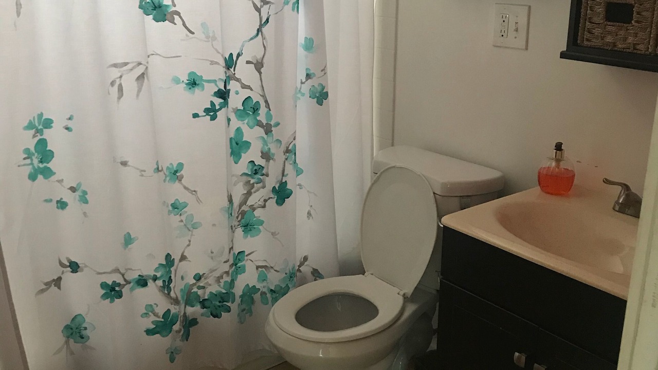Photo of Bathroom in North Buffalo