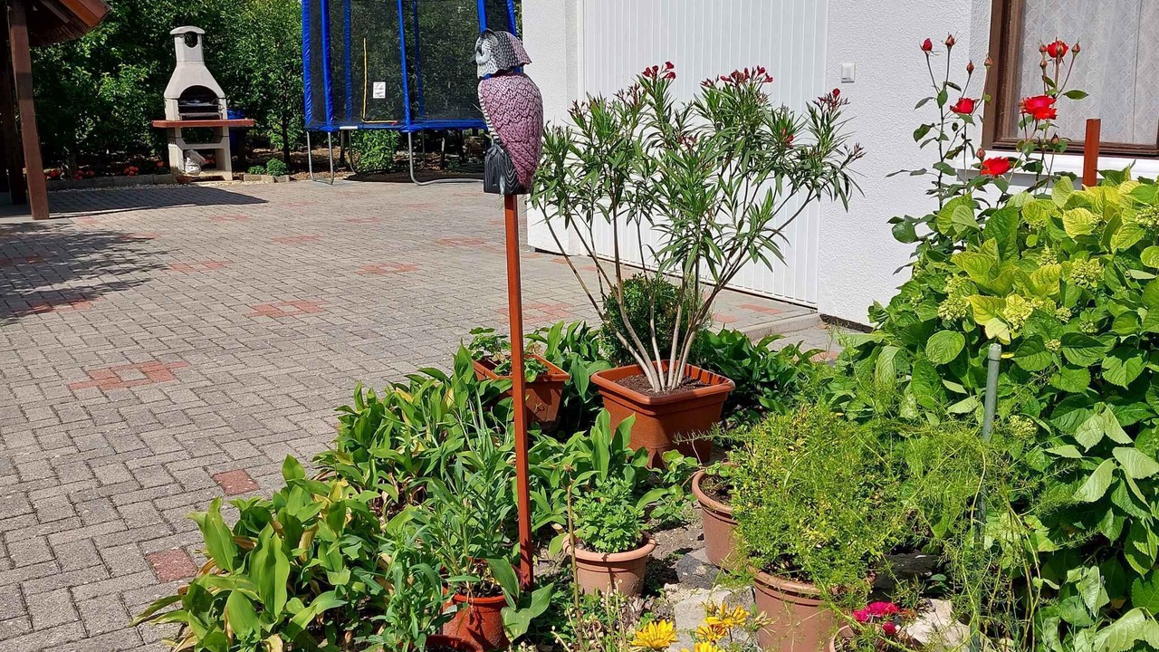 Photo of Outdoor in Keszthely