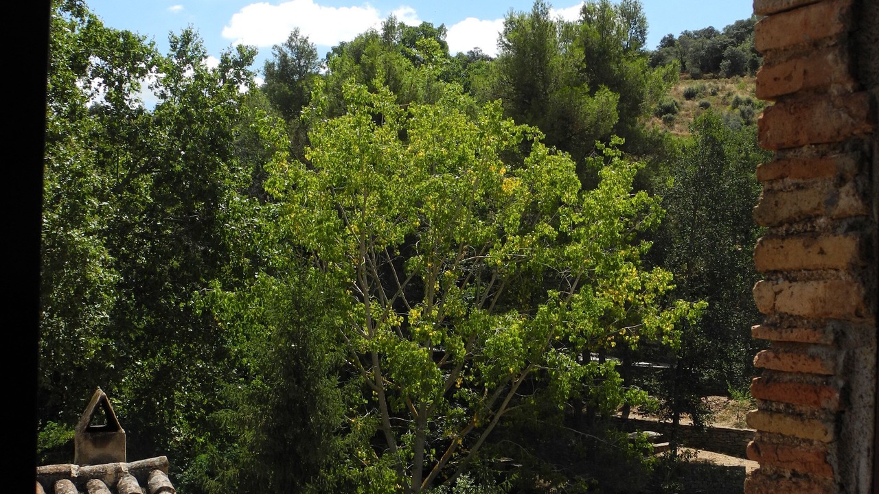 Photo of Outdoor in Torroja del Priorat