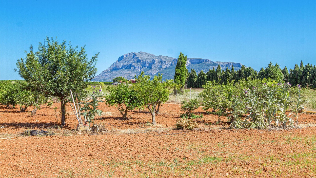 Photo of Others in Denia