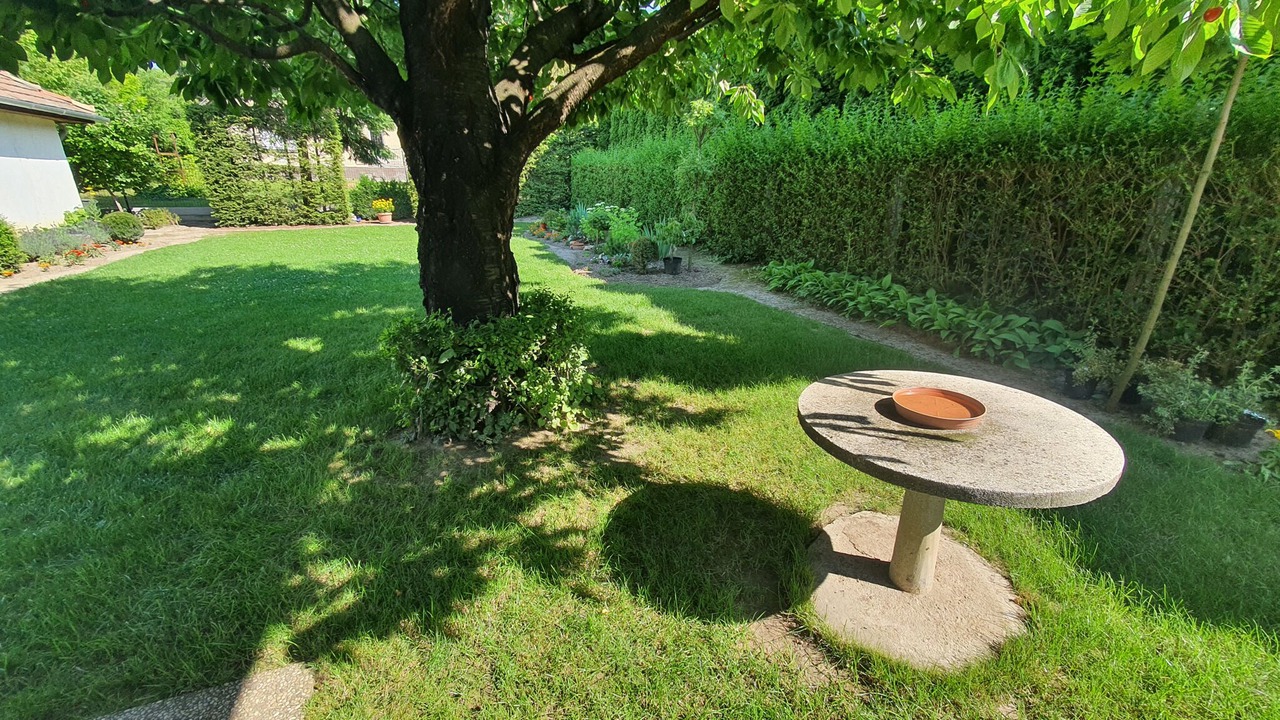 Photo of Outdoor in Balatonvilagos