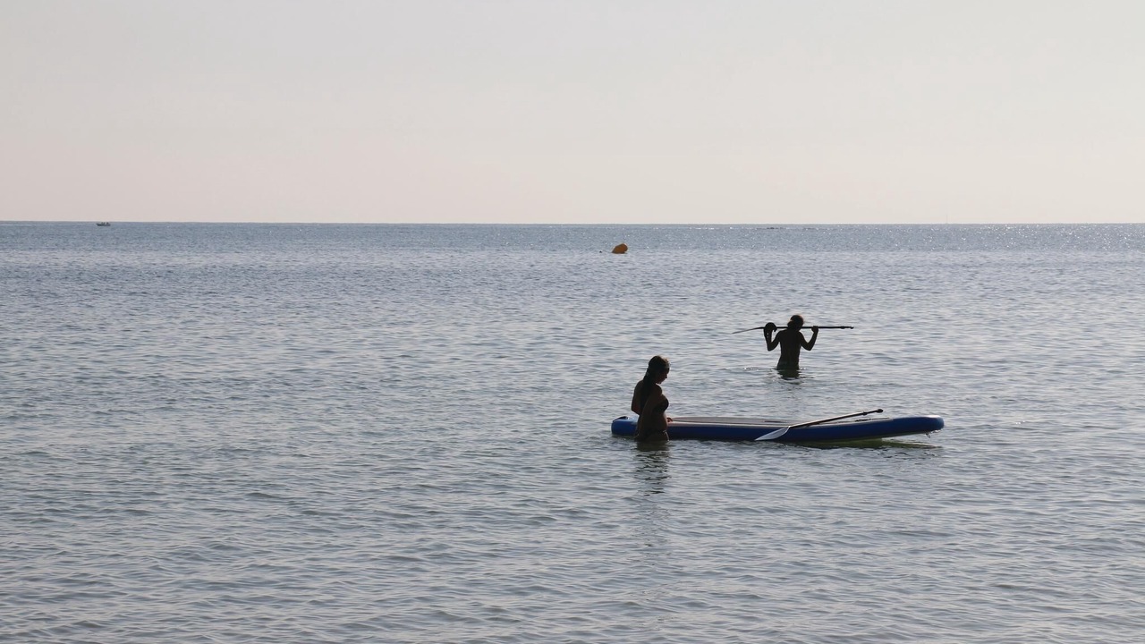 Photo of Others in Denia