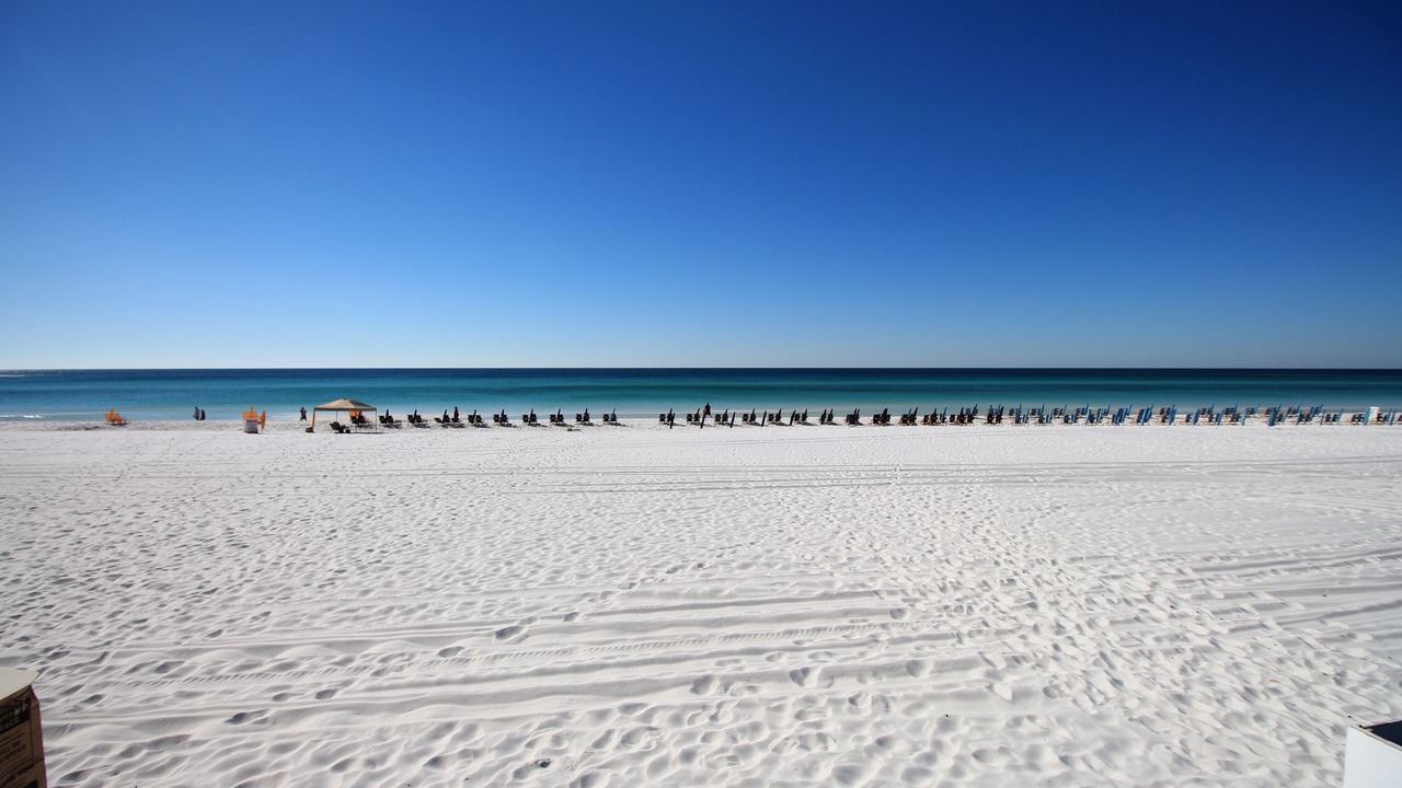 Photo of Others in Gulf Pines