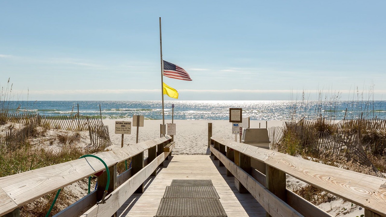 Photo of Others in Orange Beach East