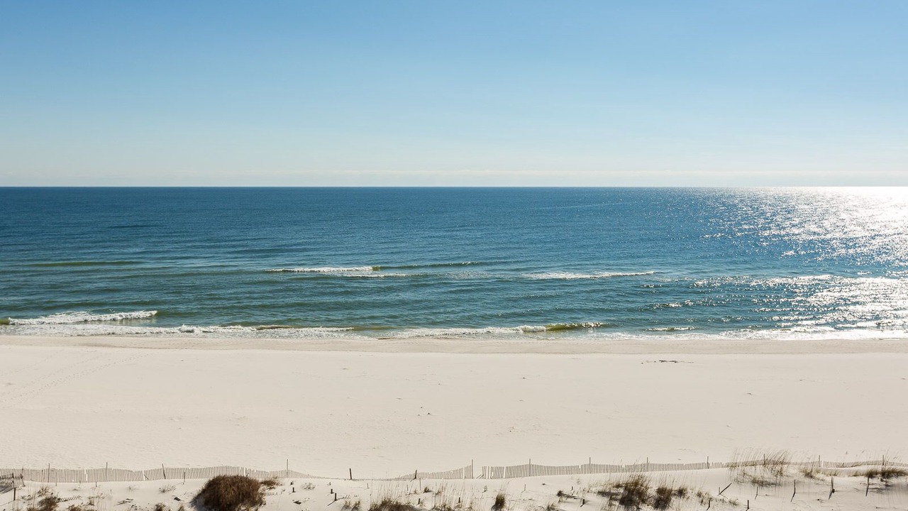 Photo of Others in Orange Beach East